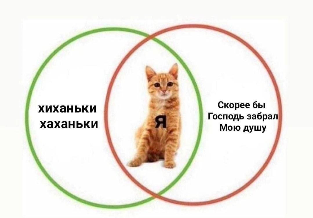 К И Б Е Р Ж Р И Ц А tweet media