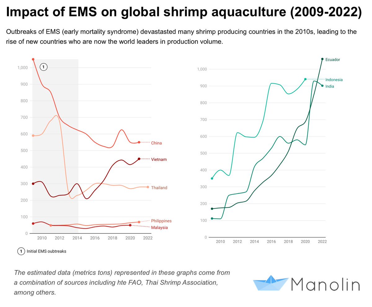 Is South America overtaking Southeast Asia in shrimp farming?

Join the conversation on <a href="/Manolinaqua/">Manolin</a> 's Fish n' Bits this week hear how disease outbreaks like EMS led to the rise of #Ecuadorian shrimp 🦐

• Spotify Podcasts: tinyurl.com/49383cf7

#aquaculture #shrimp