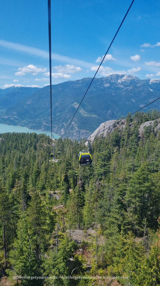 Sea to Sky #Gondola ride with the fam! A nice #summer activity ;) dontforgetyoursnacks.blogspot.com/2023/07/sea-to… #Travel #family #kids #squamish #yvr #Vancouver #throwback @seatoskygondola @VisitVancouver