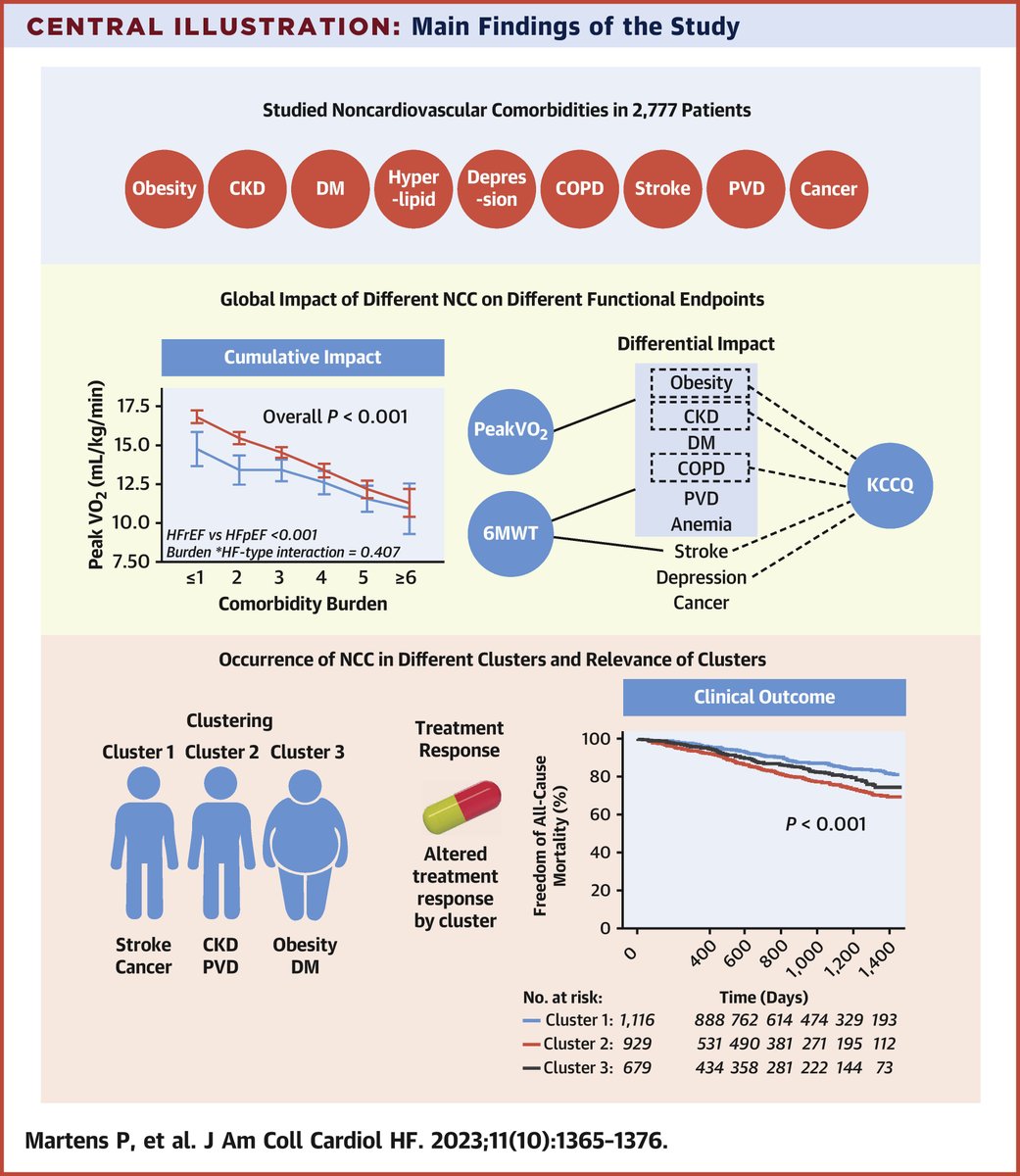 Noncardiac comorbidities type and burden have a significant and cumulative effect on exercise capacity, occur in clusters, and are associated with clinical outcomes in patients with chronic heart failure. bit.ly/40hXp8q #JACCHF #HeartFailure #CardioTwitter @WilsonTangMD