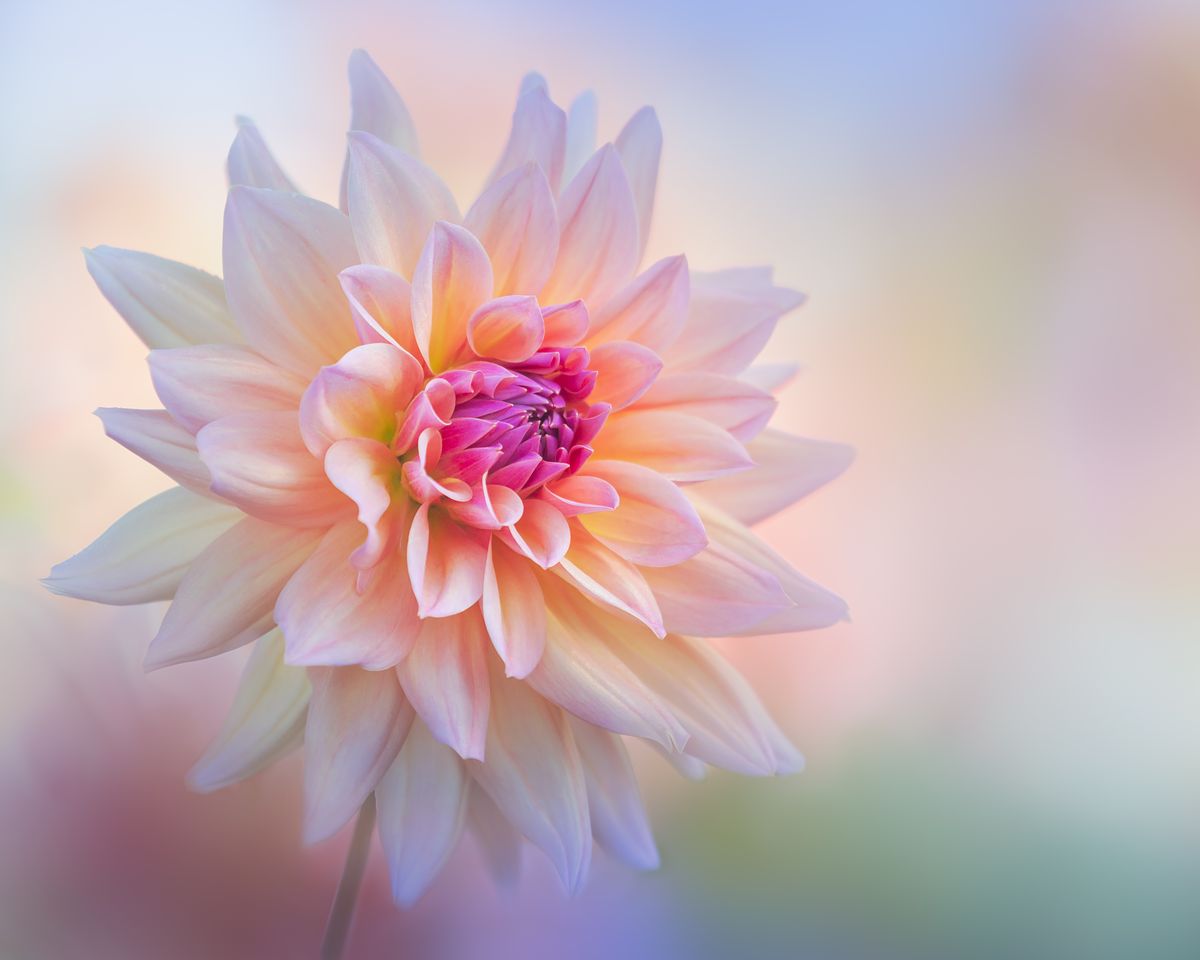 #IGPOTY Competition 17
Final Call for Entries!

Hurry – the main Competition 17 categories close for entries on October 31, 2023 at 12 Noon (GMT)!

To enter, please visit the IGPOTY website for full terms/rules:
igpoty.com

#igpoty17 #photooftheday #thebeautyofplants