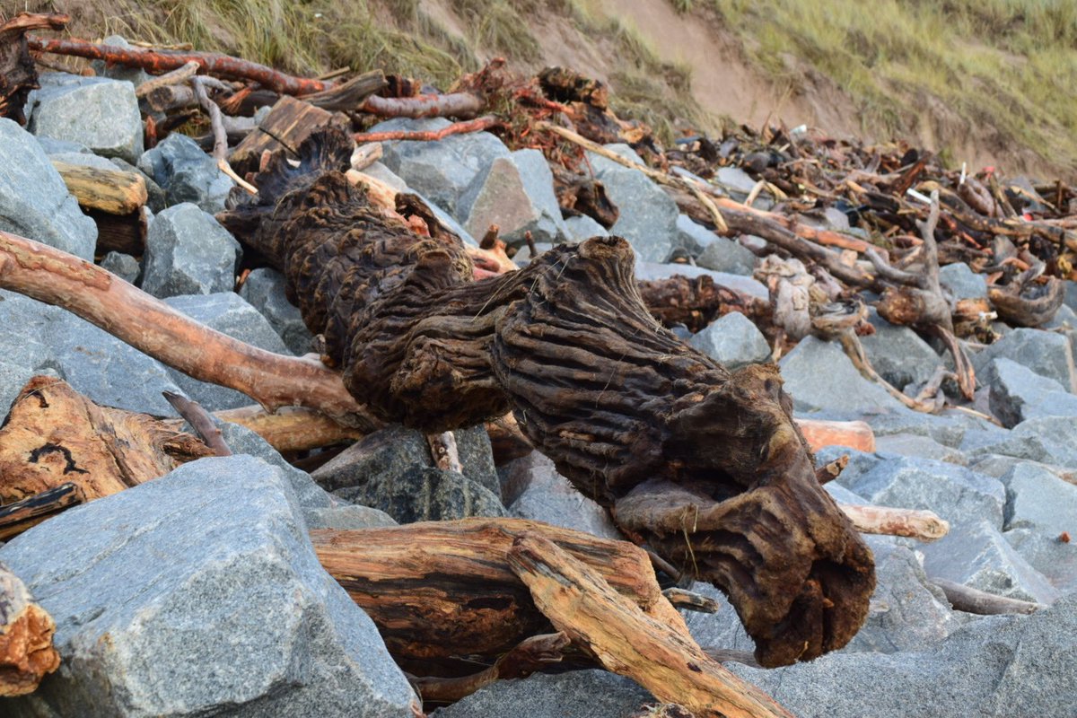 Stephen Blundell tweet media