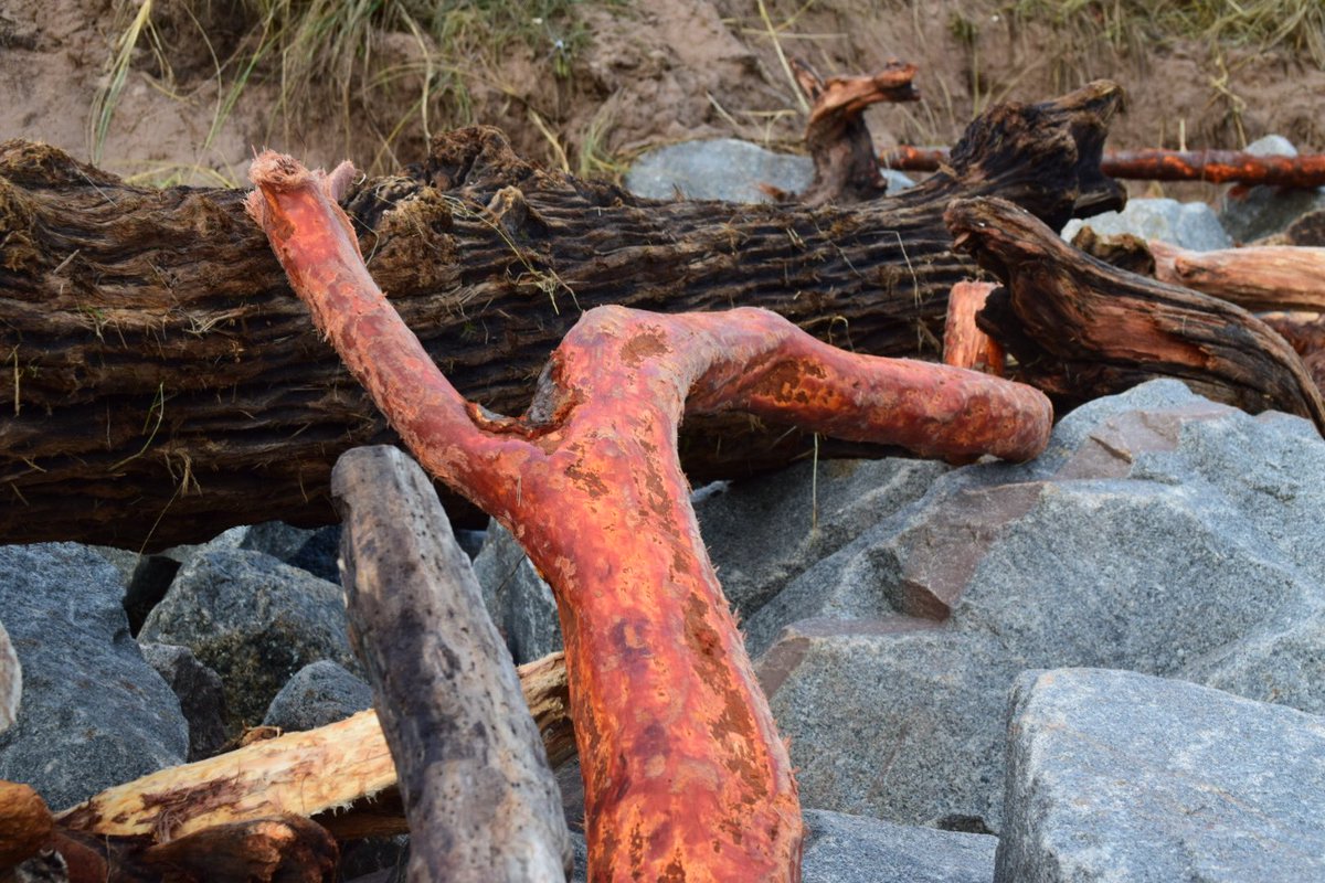 Stephen Blundell tweet media