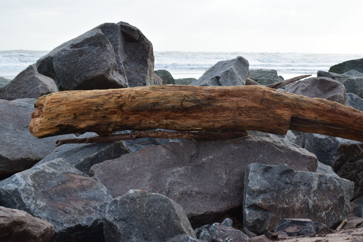 Stephen Blundell tweet media