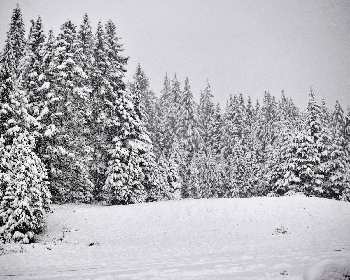 Alice Nine tweet media