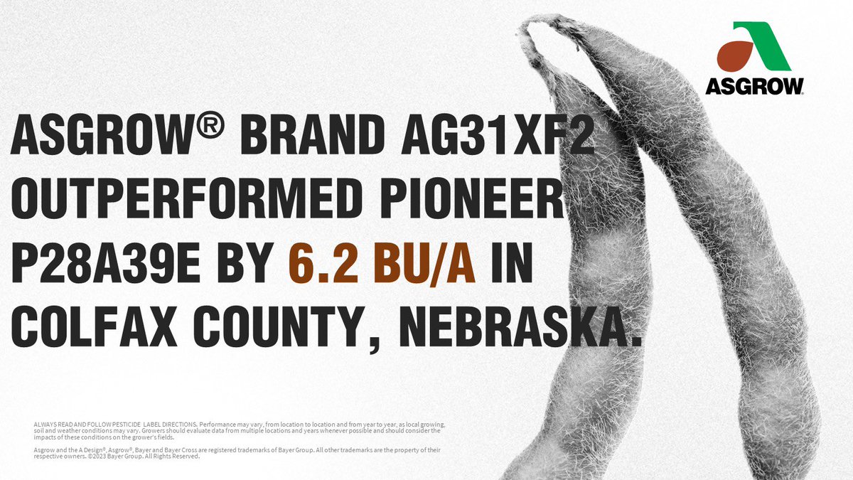 Check out these irrigated XtendFlex® vs Enlist E3® yield results from Colfax County, Nebraska!  AG31XF2 provides awesome standability, disease tolerance and consistent top end yields!
.
#Bayer4NE
#allaboutthebeans
#SuccessStartsHere
#harvest23
.
<a href="/Asgrow_DEKALB/">DEKALB Asgrow Seed</a>