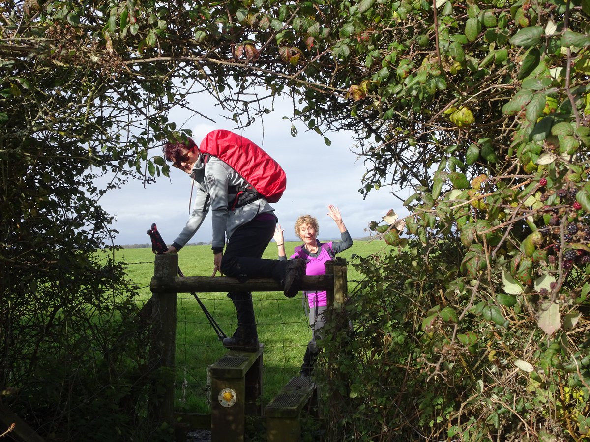 Vale Ramblers tweet media