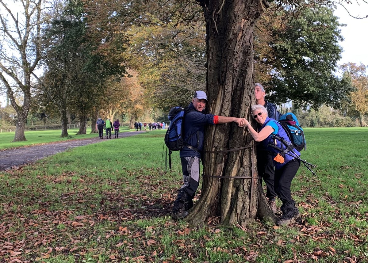 Vale Ramblers tweet media