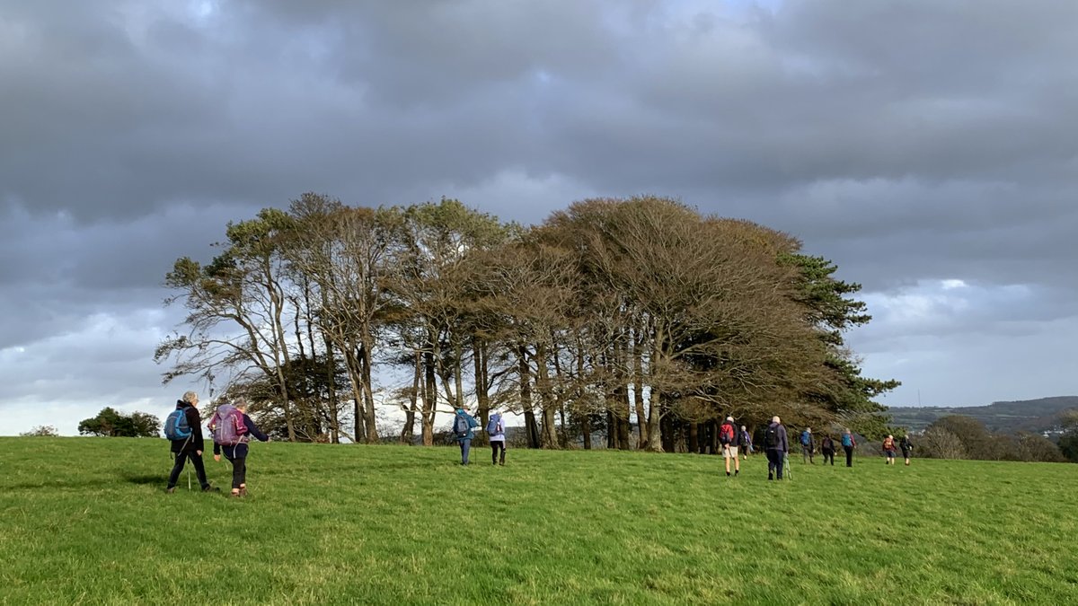 Vale Ramblers tweet media