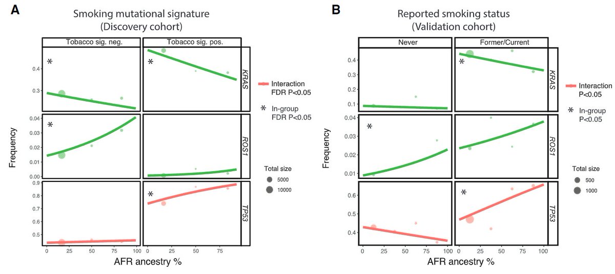 Very interesting work from a huge team (led by @CarrotJian from @MSKCancerCenter) on associations between %African ancestry and tumor genomics. In particular, they note⬇️KRAS G12C and EGFR L858R, and ⬆️ROS1 fusion with ⬆️african ancestry in lung cancers' sciencedirect.com/science/articl…