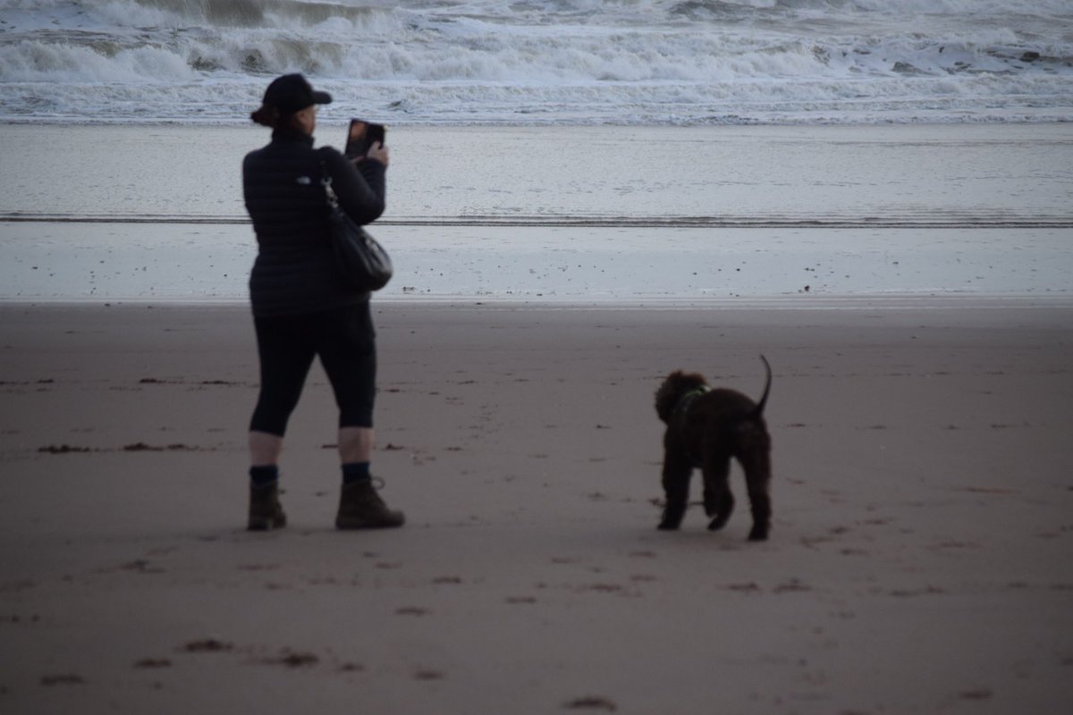 Stephen Blundell tweet media