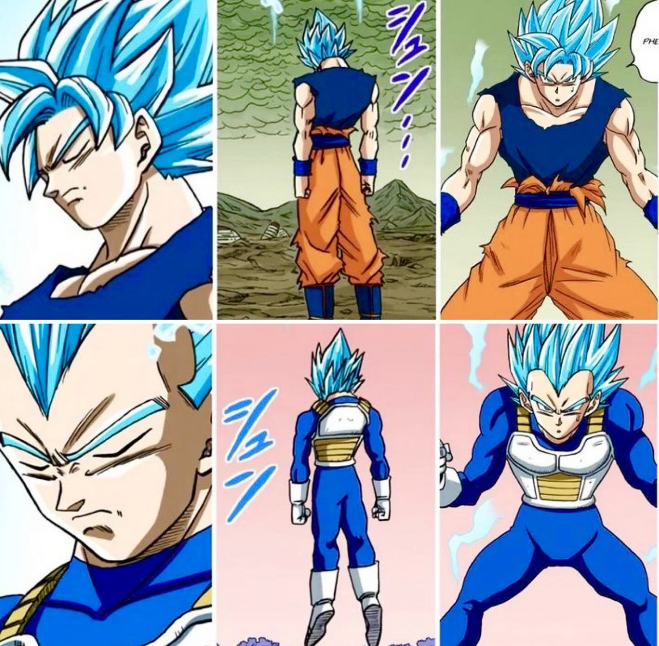 Vegeta Super Saiyan Blue, Dragon Ball Super  Dragon ball super manga,  Anime dragon ball super, Anime dragon ball