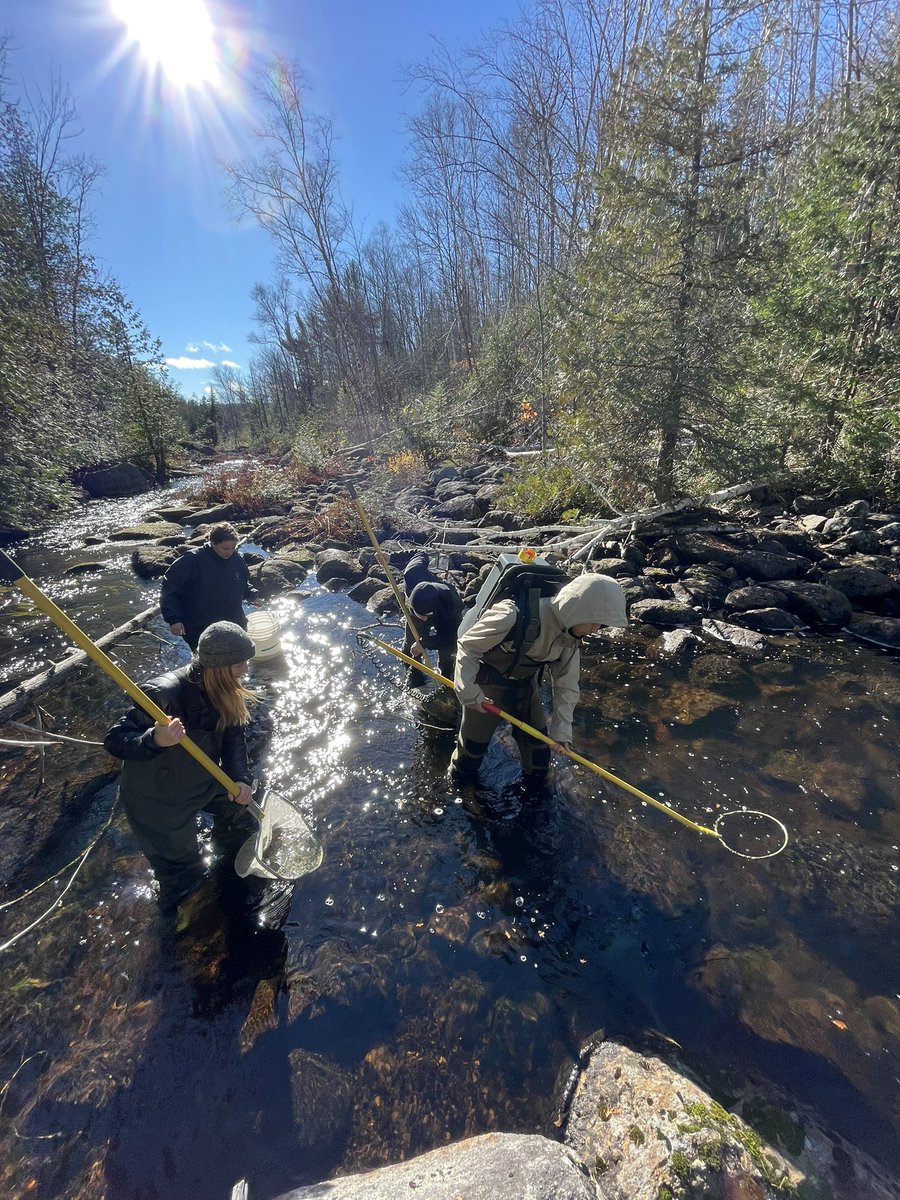 Jeremy de Bonville tweet media