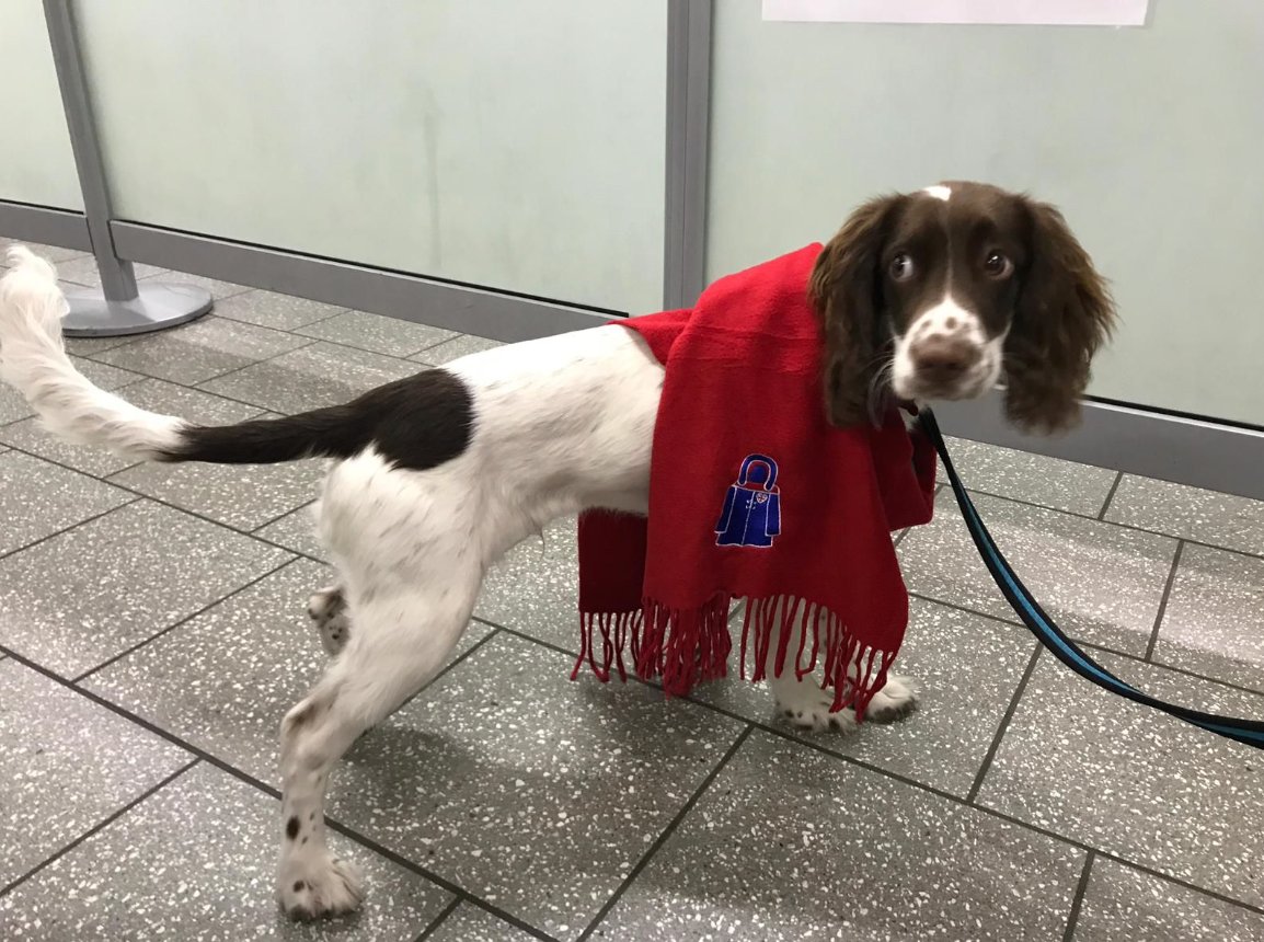 Wrap Up London tweet media