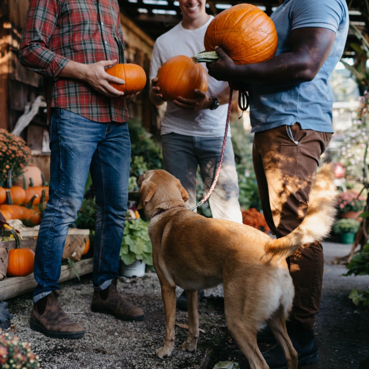 The #585's are our pick of the patch this fall🎃 🎃 

shop now: bit.ly/3QwbQCB