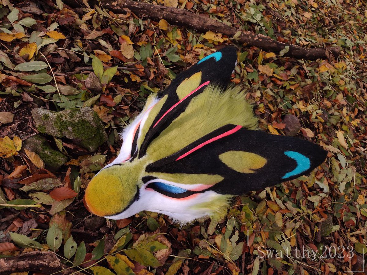 Swatthy_'s tweet photo. Recently finished Tigerbee fursuit for SALE
It was quite a challenge but really fun to make!

Auction link in the comments!!

Species by : @Tokyozilla 
Fursuit made by me https://t.co/tZzSSHWLSd