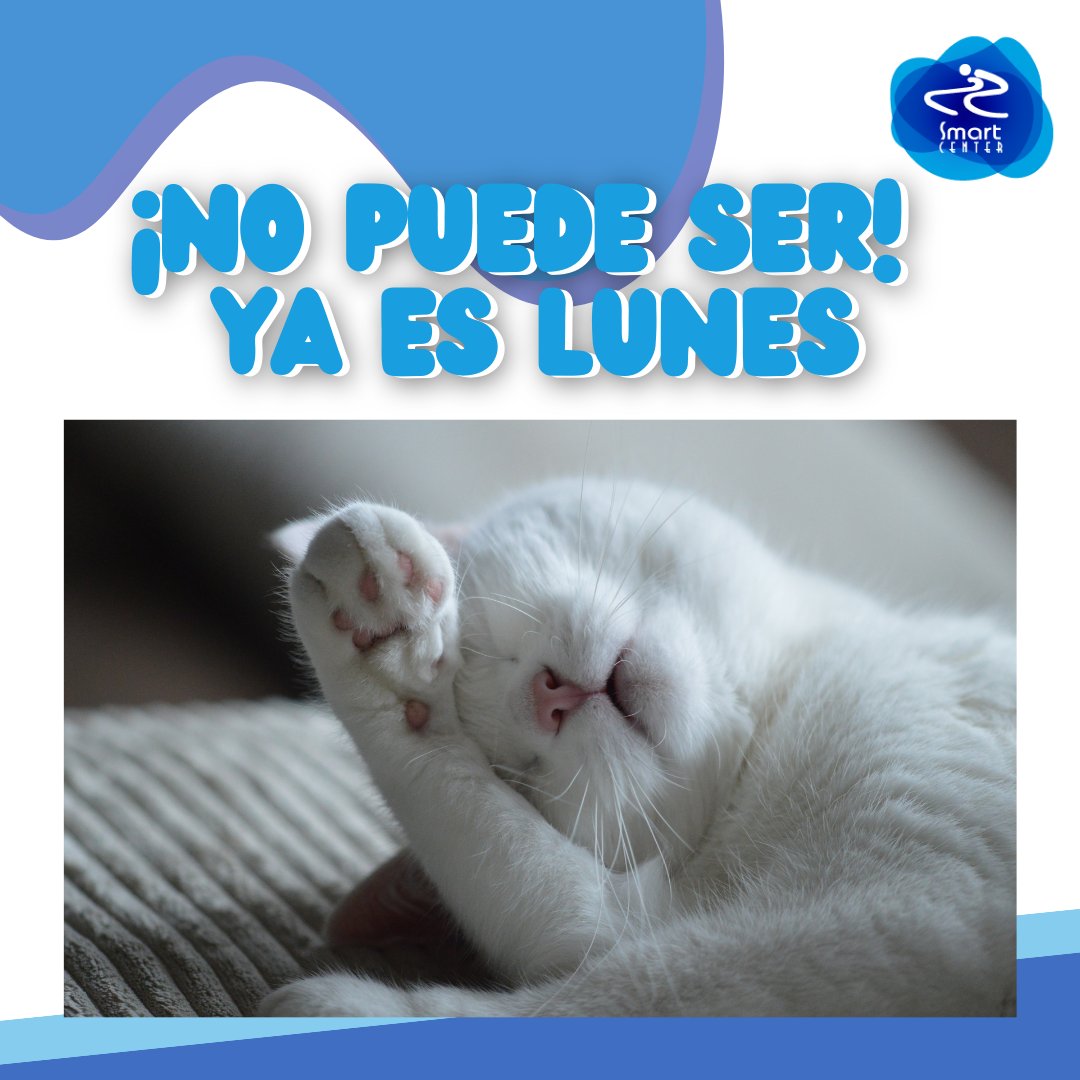 SmartCenterMex's tweet photo. ¿Cuántos así hoy 😅😅😅?

#TodosSomosSmartCenter #somossmartcenter #humor #FelizLunesParaTodos https://t.co/BcZKGEkI3r