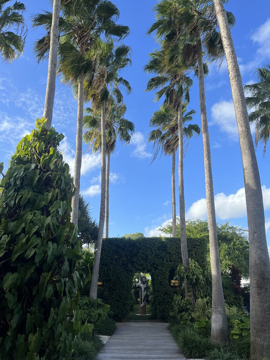 Ross Atkinson tweet media