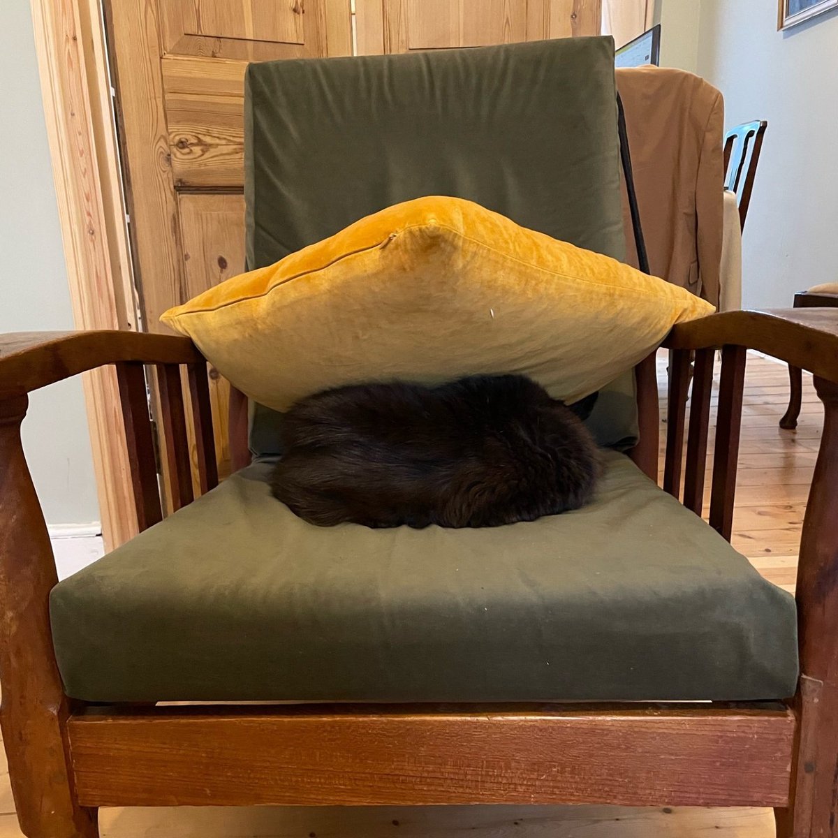 My cat sleeping under a cushion. Surprising and adorable. What a guy.