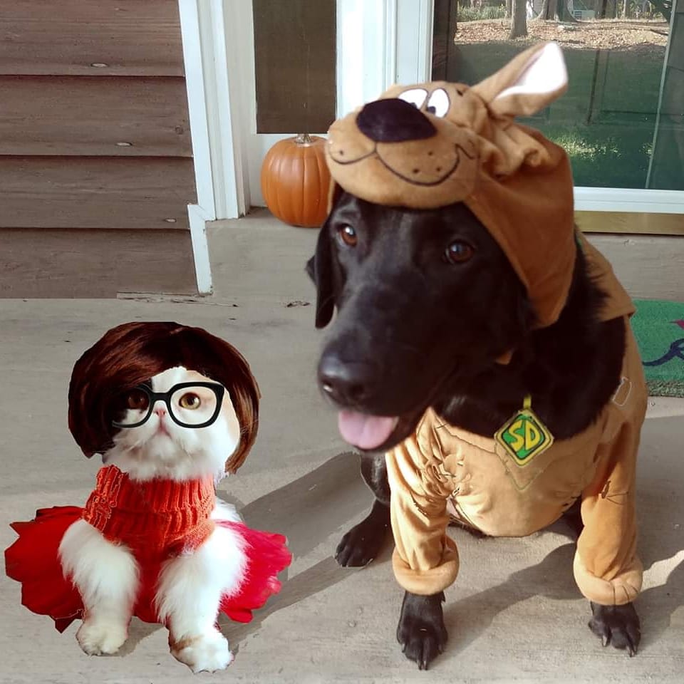 Libby Klein tweet media