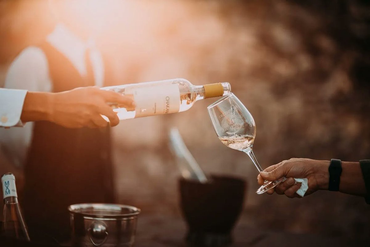 Celebrate National White Wine Day with us on Aug 4. Indulge in our top 5 wine recommendations! Learn more:
tinyurl.com/ys6zsph7
#NationalWhiteWineDay #SummerWines #WineLovers