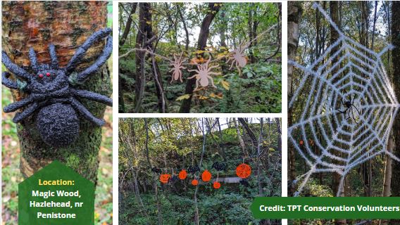 TPT_National's tweet photo. Check out our latest Trail Users video, featuring some of the fabulous images you've taken and shared on social media while out on the Trail.
Enjoy it, share it, and keep tagging us in your pictures!
https://t.co/8UM15O1twu
#LoveYourTPT #autumnonthetpt https://t.co/2P1BwQP3a6