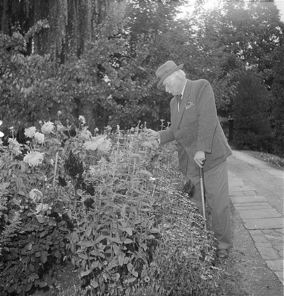 Jung's Attitude to Psychedelics: "#Jung did not value and even disapproved of the use of entheogens. Although they confirmed his discovery of the #collectiveunconscious, he highlighted the difficulty of integrating the #unconscious contents these agents release. In a letter to