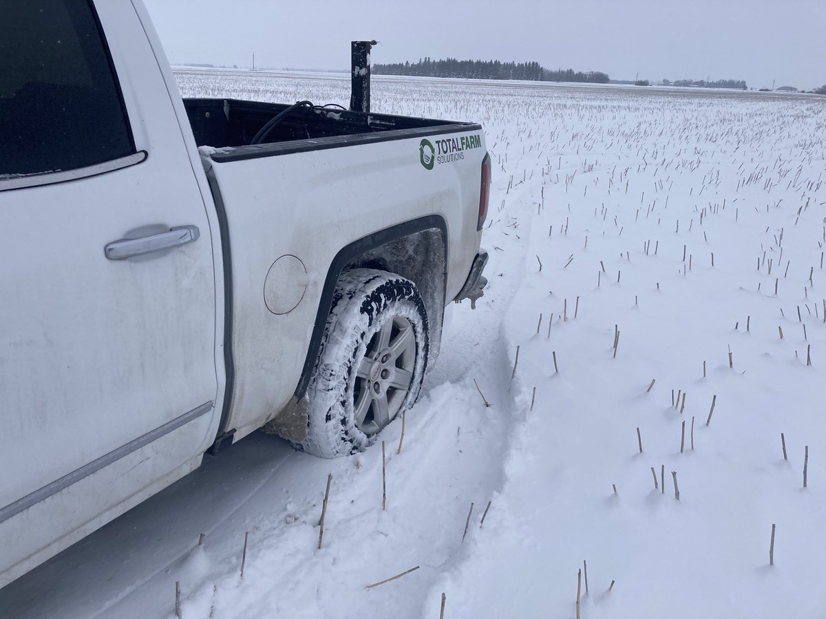 Dave Ives tweet media