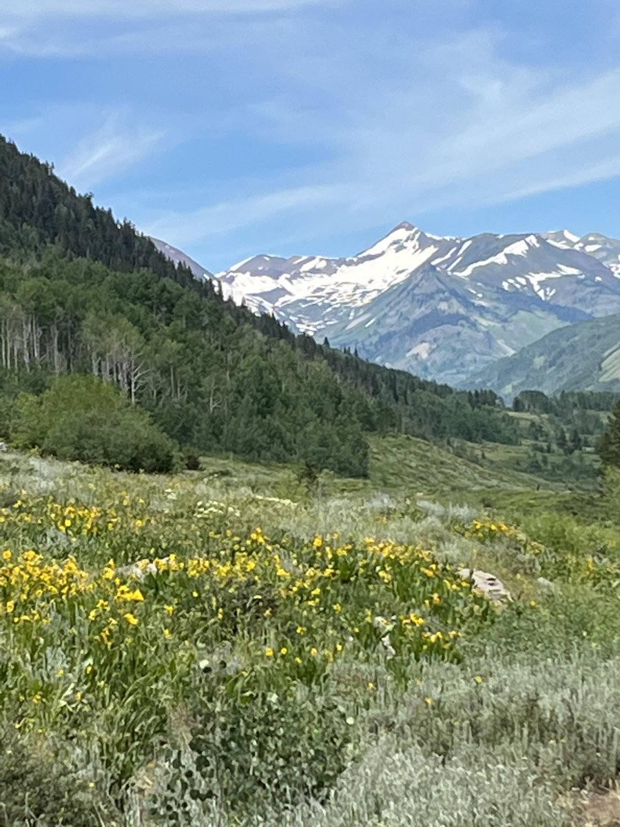 We're seeking new tenure-track faculty at all ranks. Help us grow the evidence base for equitable health systems &amp; policies while enjoying the Rockies. <a href="/ColoradoSPH/">ColoradoSPH</a>  More info: cu.taleo.net/careersection/…