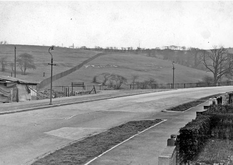 Matt Turner tweet media