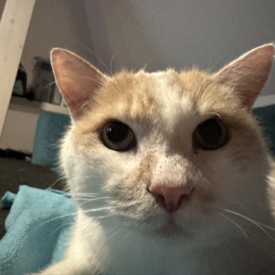 Theunrealcc's tweet photo. #NeuesProfilbild https://t.co/PU1y1yDiJM