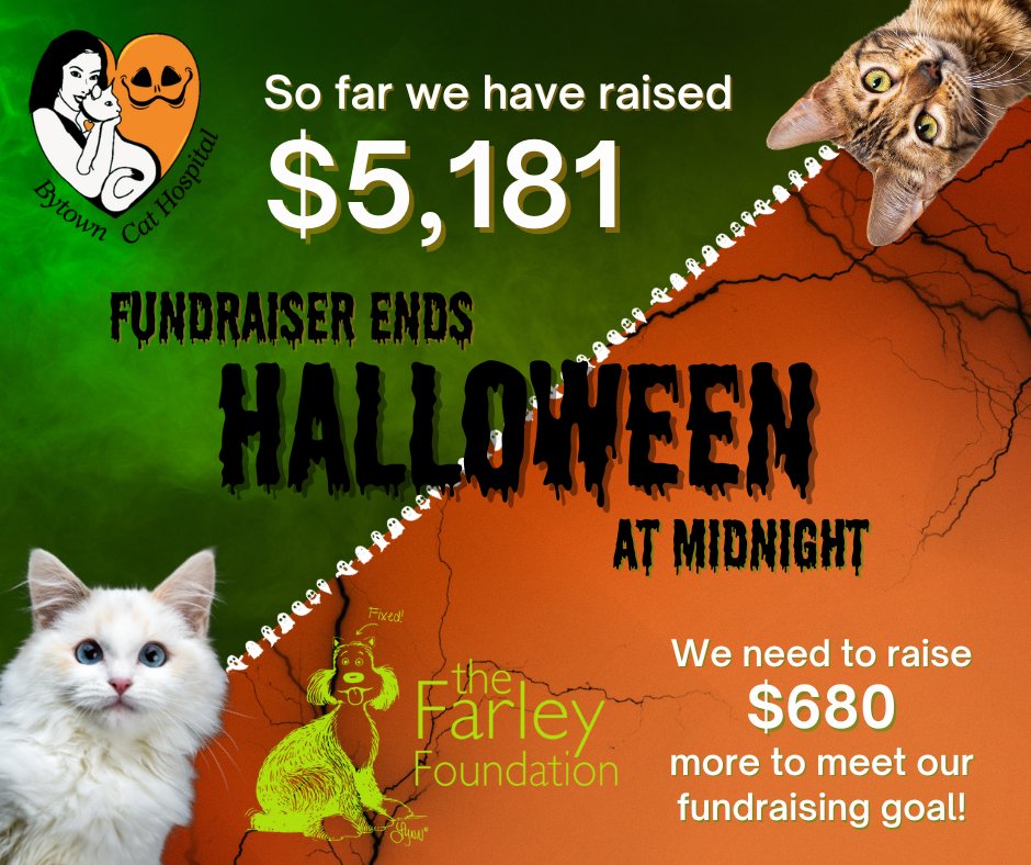Tomorrow is the last full day to fundraise for #FarleyMonth! As of today #BytownCatHospital raised $5,181! We are $680 away from our fundraiser goal. Donate at the clinic or visit our fundraising webpage to donate online canadahelps.org/en/pages/bytow…
#cats #Halloween .<a href="/Farleyfndation/">Farley Foundation</a>