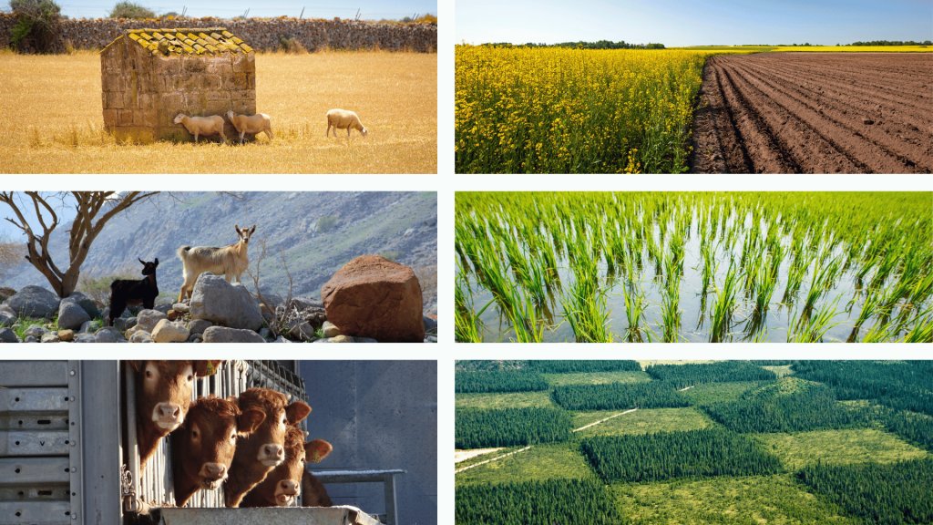 📢 International Seminar: "Greenhouse gas emissions &amp; climate change mitigation in Mediterranean agricultural sectors"

📆 15-16 Nov 2023

Join representatives from more than 20 countries as well as national &amp; international institutions. 

Learn more ⬇️
iamz.ciheam.org/agendas/ciheam…