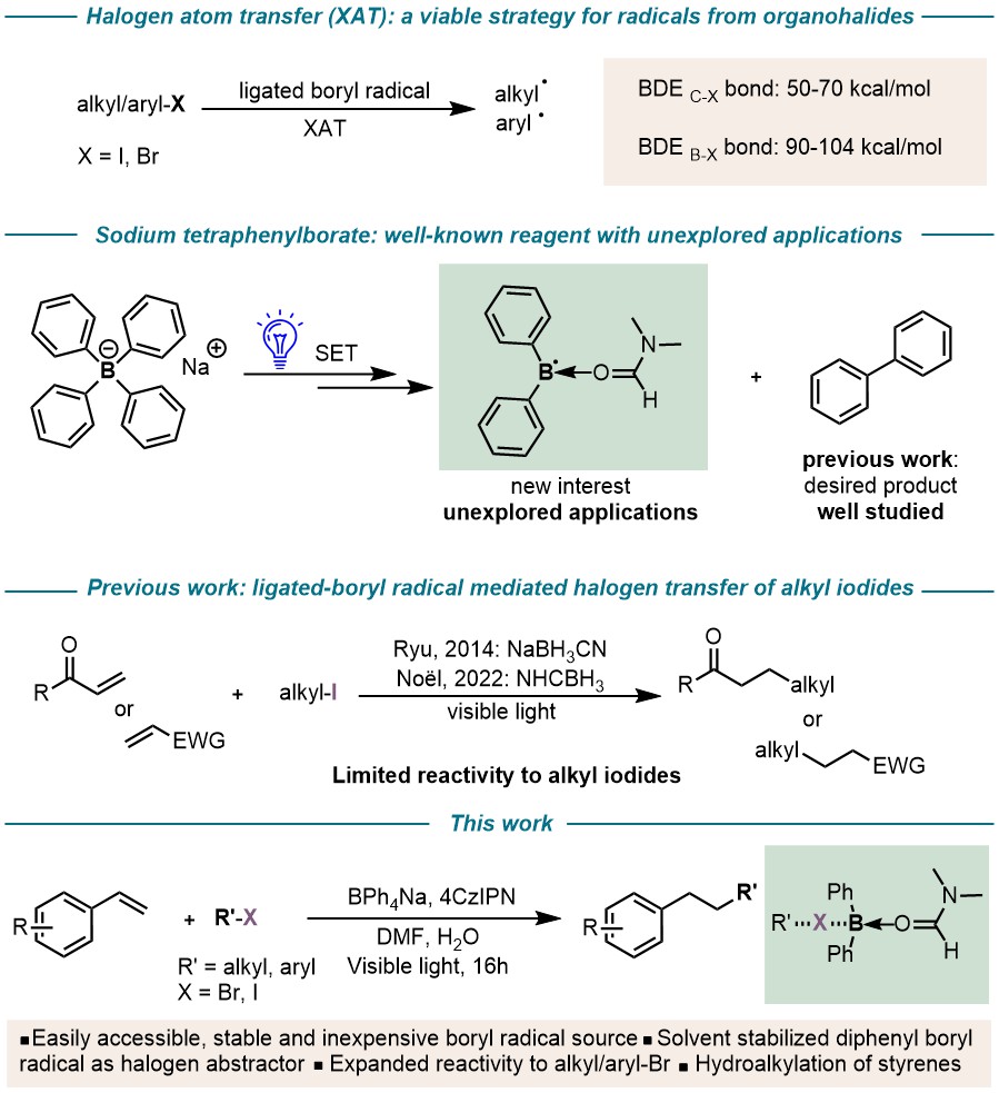 upen14's tweet image. Boron-centered radical chemistry - check out our latest preprint on the hydroalkylation of styrenes enabled by boryl radical mediated halogen atom transfer | ChemRxiv - go.shr.lc/47d2kda
Thank you, Serena, for this great piece of work and your efforts.