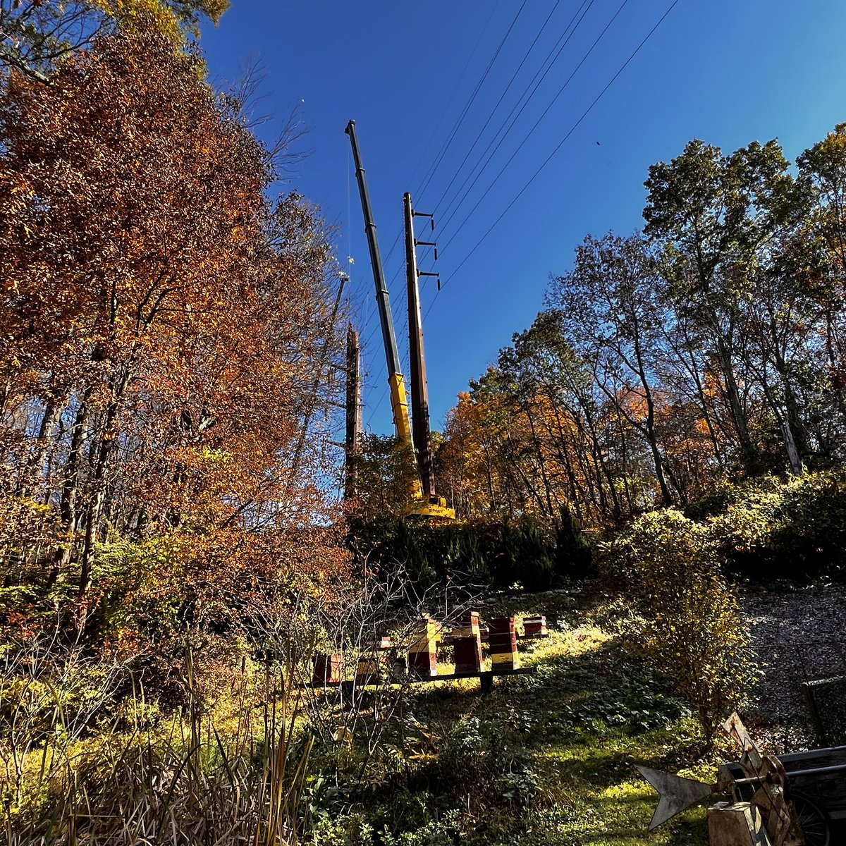 redbee's tweet photo. @GovNedLamont @chrismurphys @SenBlumenthal @CT_PURA @ConnDEEP We have the right to feel safe in our homes. This is terrifying! The edge of a hill! @EversourceCT #eversource @News12CT @WTNH @NPR @rosadelauro https://t.co/uW3bhplP10