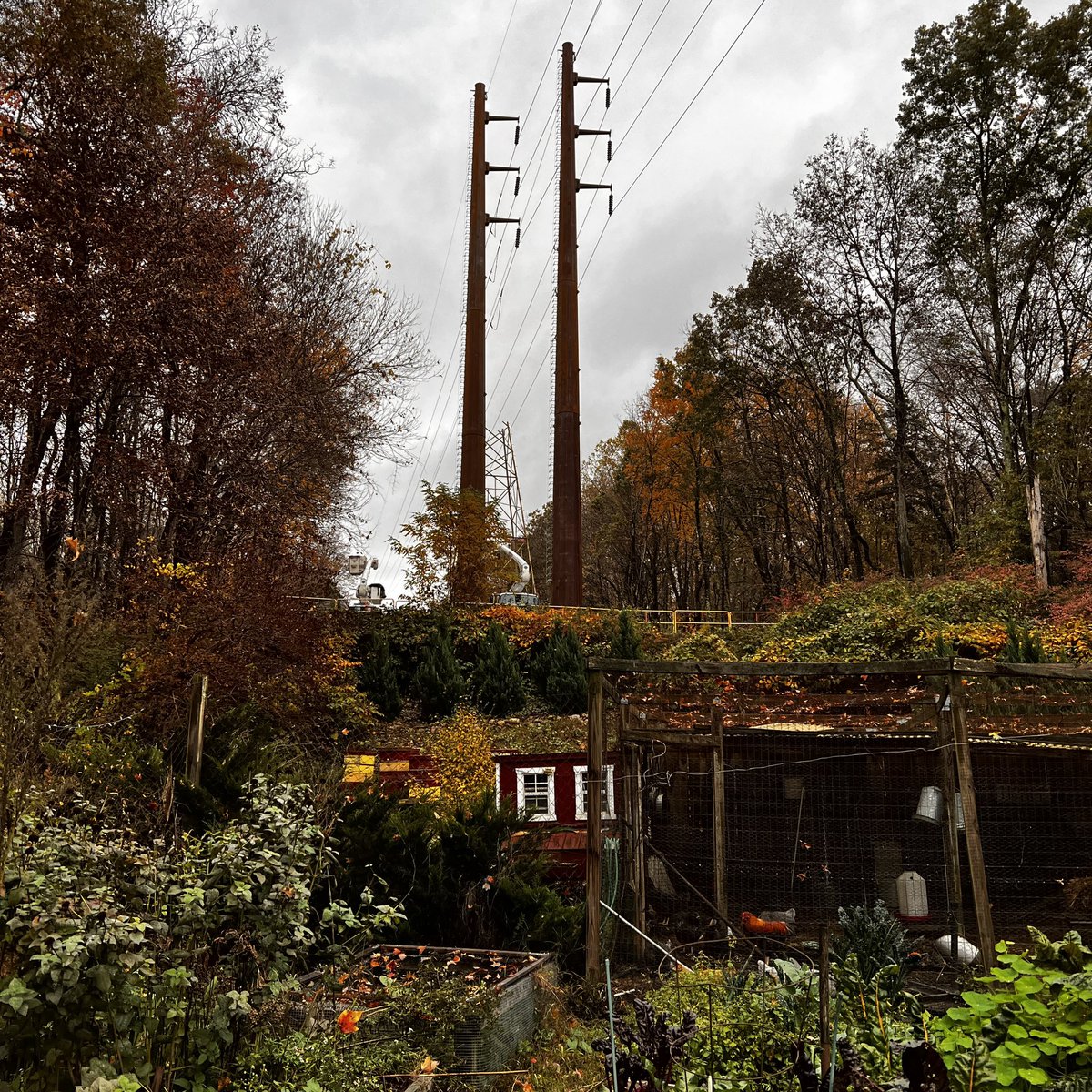 redbee's tweet photo. @GovNedLamont @chrismurphys @SenBlumenthal @CT_PURA @ConnDEEP We have the right to feel safe in our homes. This is terrifying! The edge of a hill! @EversourceCT #eversource @News12CT @WTNH @NPR @rosadelauro https://t.co/uW3bhplP10