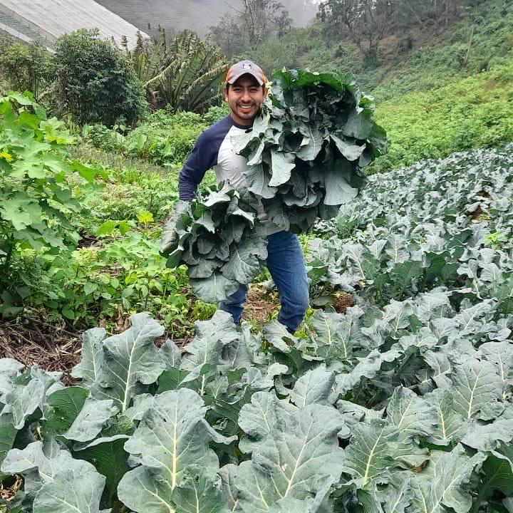 I am a proud Guatemalan Farmer and teacher in San Antonio Aguas Calientes. My family is part of a Mayan Kaqchikel community and since I was very young I saw my father and my grandfather work hard to allow me to attend school. Full interview on our blog, stoveteam.org/blog/storiesof…