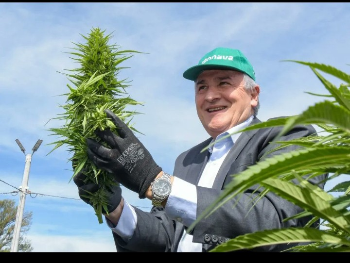 doctor_escabio's tweet photo. EL PATRÓN DEL MAL UN POROTO: Ahora se entiende Gerardo Morales en #NarcoEstado financiado por el propio Sergio Tomás Massa #Narkos #NadieEsKirchneristaGratis #NarcosK #ElPeorGobiernoDeLaHistoria #Alverso https://t.co/erXDJcTydG
