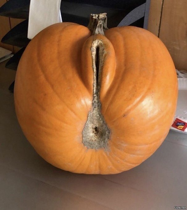 I hope you have a good time on Halloween ( ͡&deg; ͜ʖ ͡&deg;) Happy Halloween! 🎃👻💫 https://t.co/iylTYav6nx<a href="/tag/lethalcompany"class="tags"><span>#lethalcompany</span></a>