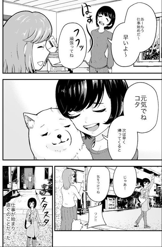 (3) 