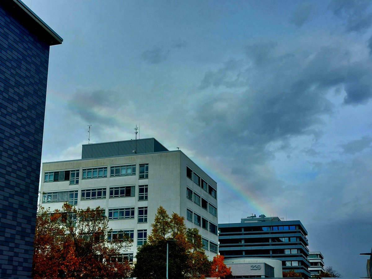 Functional Material Dynamics tweet media