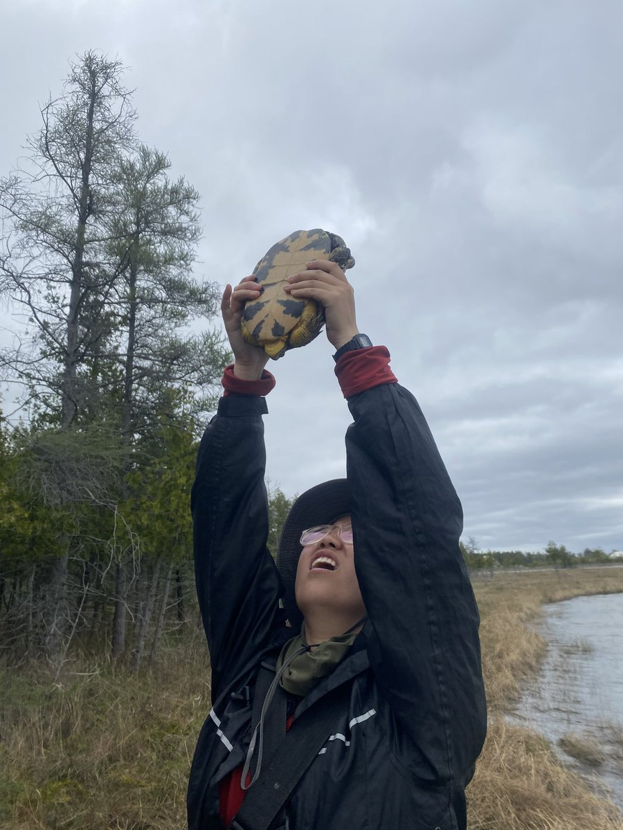 Reta Meng tweet media