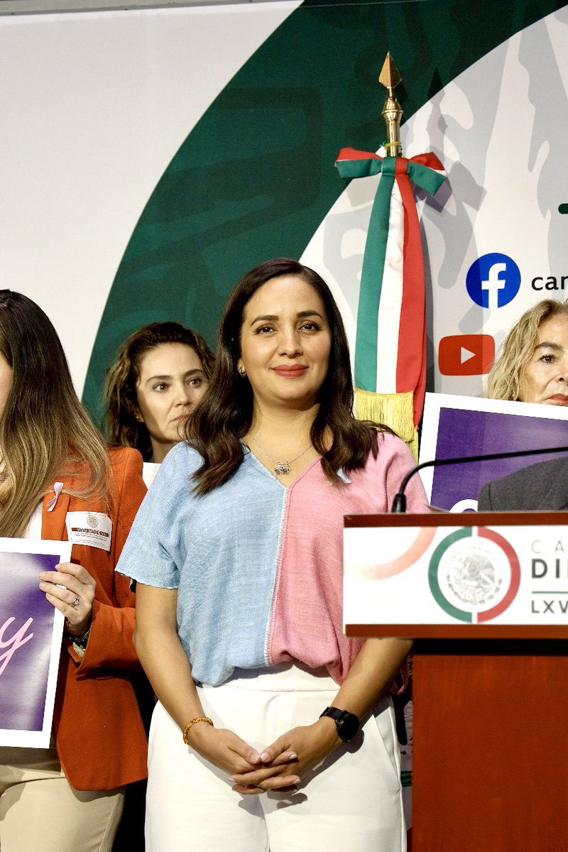 📍Hoy en la <a href="/Mx_Diputados/">H. Cámara de Diputados</a> presenté la #LeyOlivia, iniciativa que he decidido llamar de esta manera como un homenaje a la memoria y al recuerdo de mi hija Olivia. #LeyOlivia busca la atención multidisciplinaria a madres y padres que han pasado por la muerte de una hija o hijo en