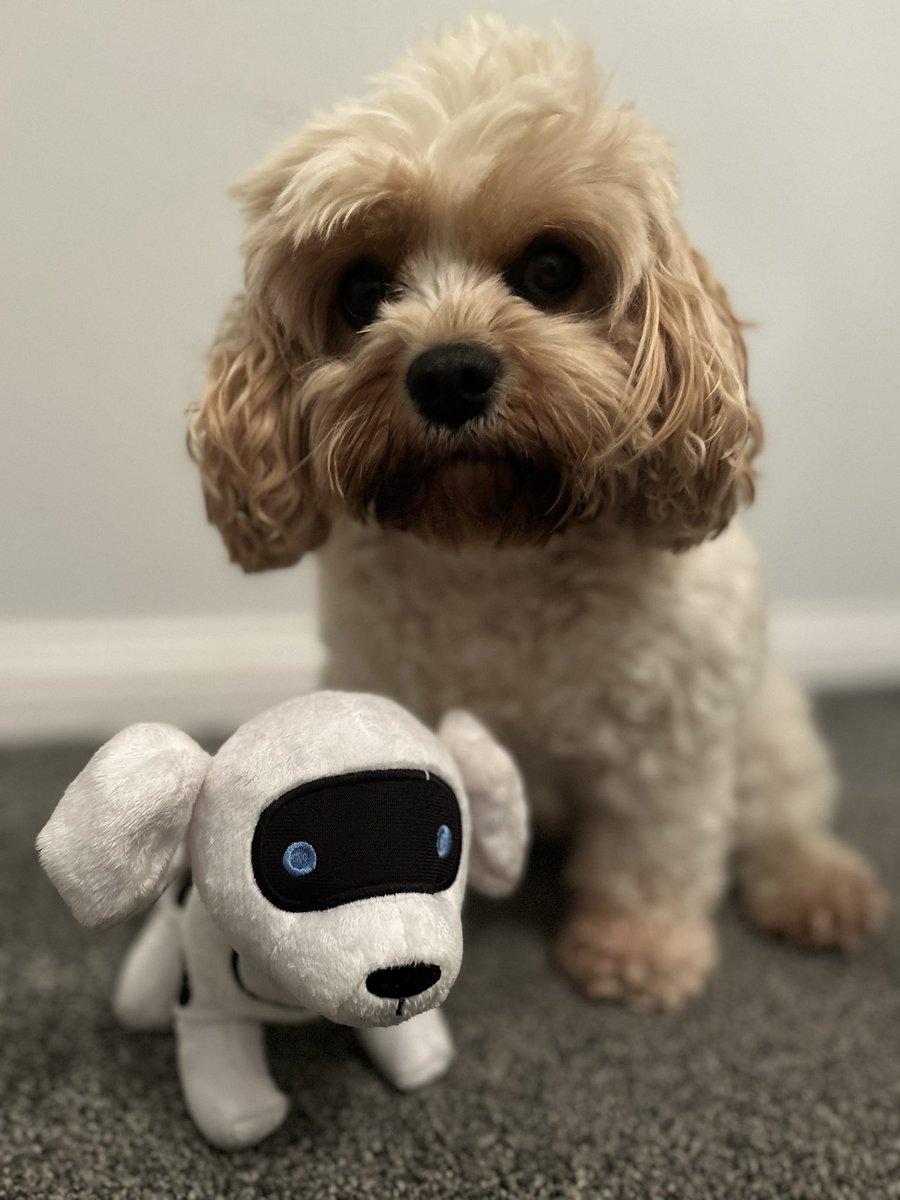 Someone has claimed Tex for herself… <a href="/Tech_She_Can/">Tech She Can</a>