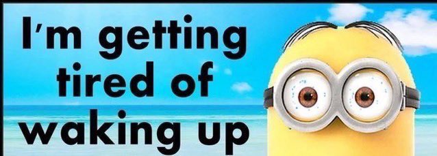 RAAAAA HIATUS!!!!! (@tigresscoded) on Twitter photo 