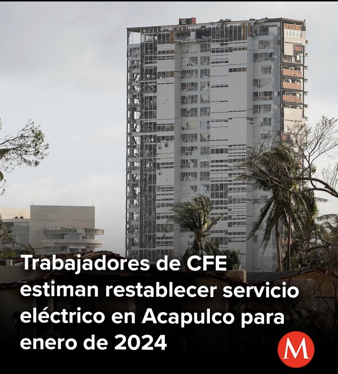 MiguelRegalado tweet media