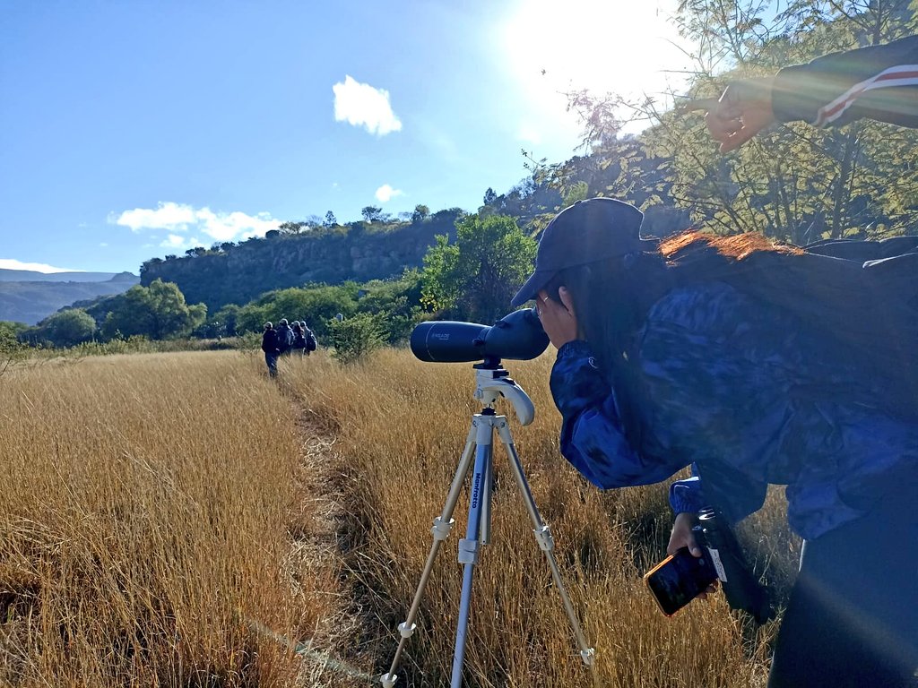 Ambiente_GobOax's tweet photo. #AverAves 🦅 || Junto al equipo del Programa de Aves Urbanas (PAU) Oaxaca, de la @CONABIO, el fin de semana realizamos un avistamiento de aves dentro del Monumento Natural Yagul, espacio catalogado como Patrimonio de la Humanidad por la @UNESCO.🦜🐦🦉

@salomonj 
@INAHmx https://t.co/Ddba945PJM