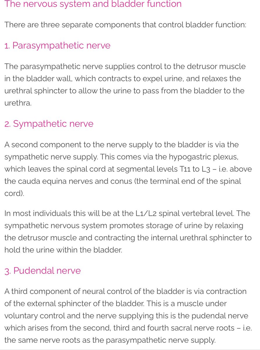 EFFECTS OF CAUDA EQUINA SYNDROME ON THE BLADDER

caudaequinasolicitors.co.uk/medical-neglig….