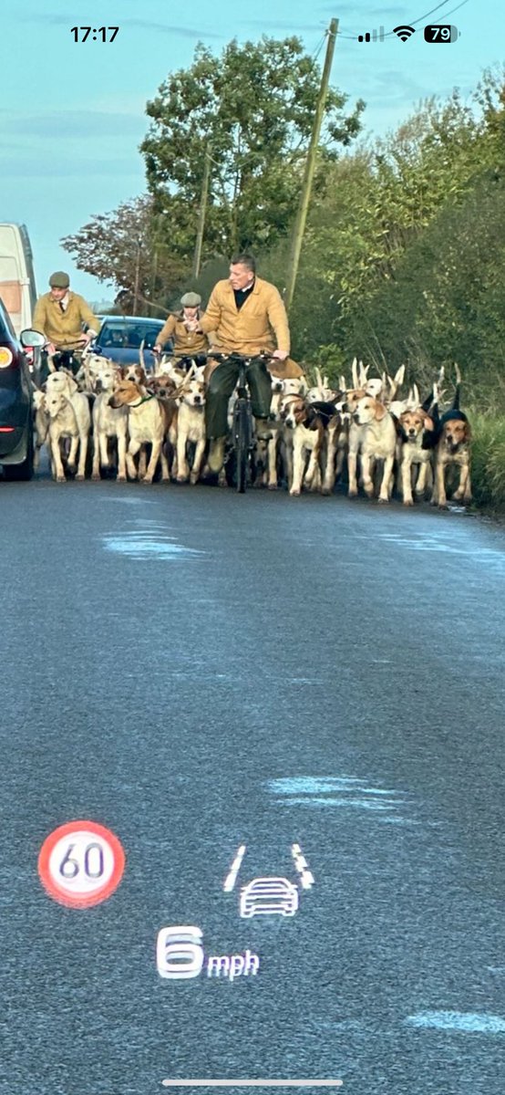 Just popping out to take the dogs for a walk hon……😳