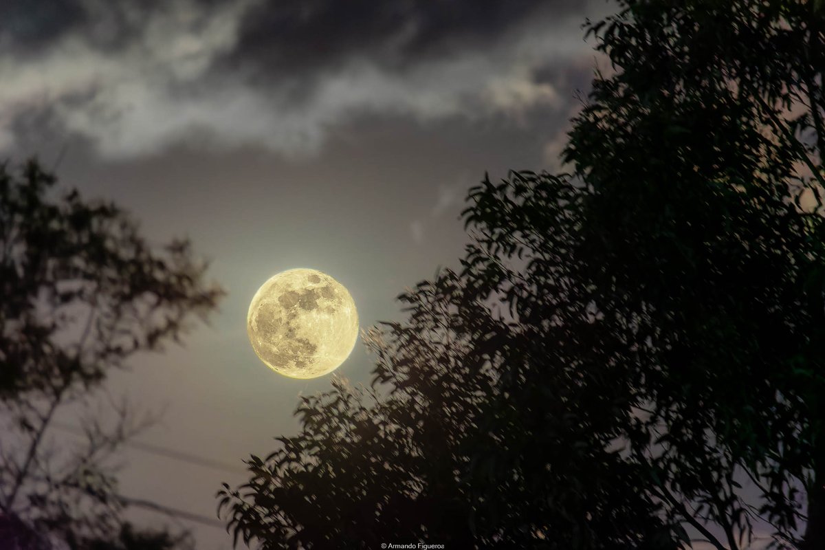 Luna llena entre los arboles

#luna #moon #faseslunares #lunarphases #lunallena #fullmoon #lunadeoctubre #octobermoon #fotolunar #moonphotography #fotoastronomia #photoastronomy #nikond3400 #nikkor70_300 #FasesDeLaLuna #InternationalObserveTheMoonNight2023 #Octubre